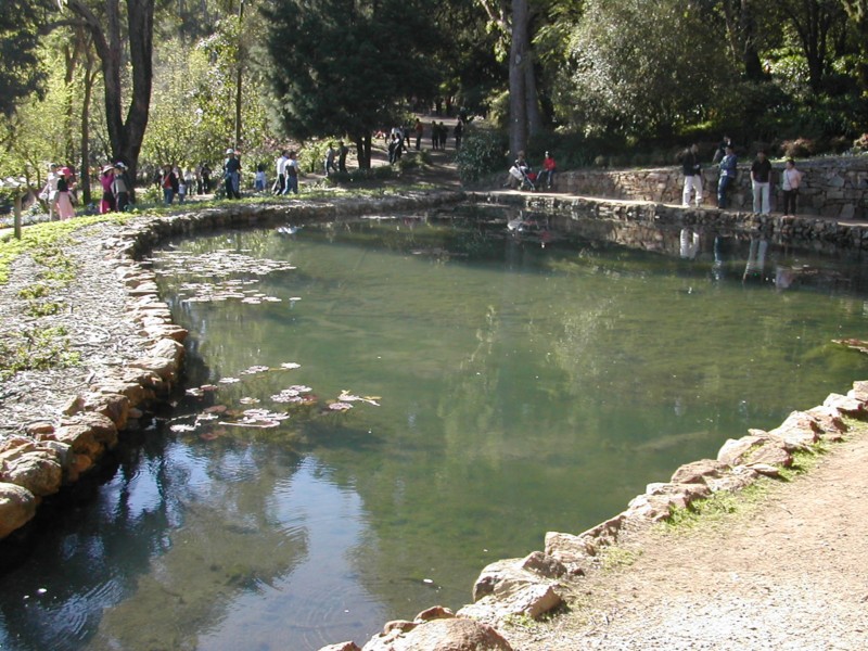 Araluen Botanic Park