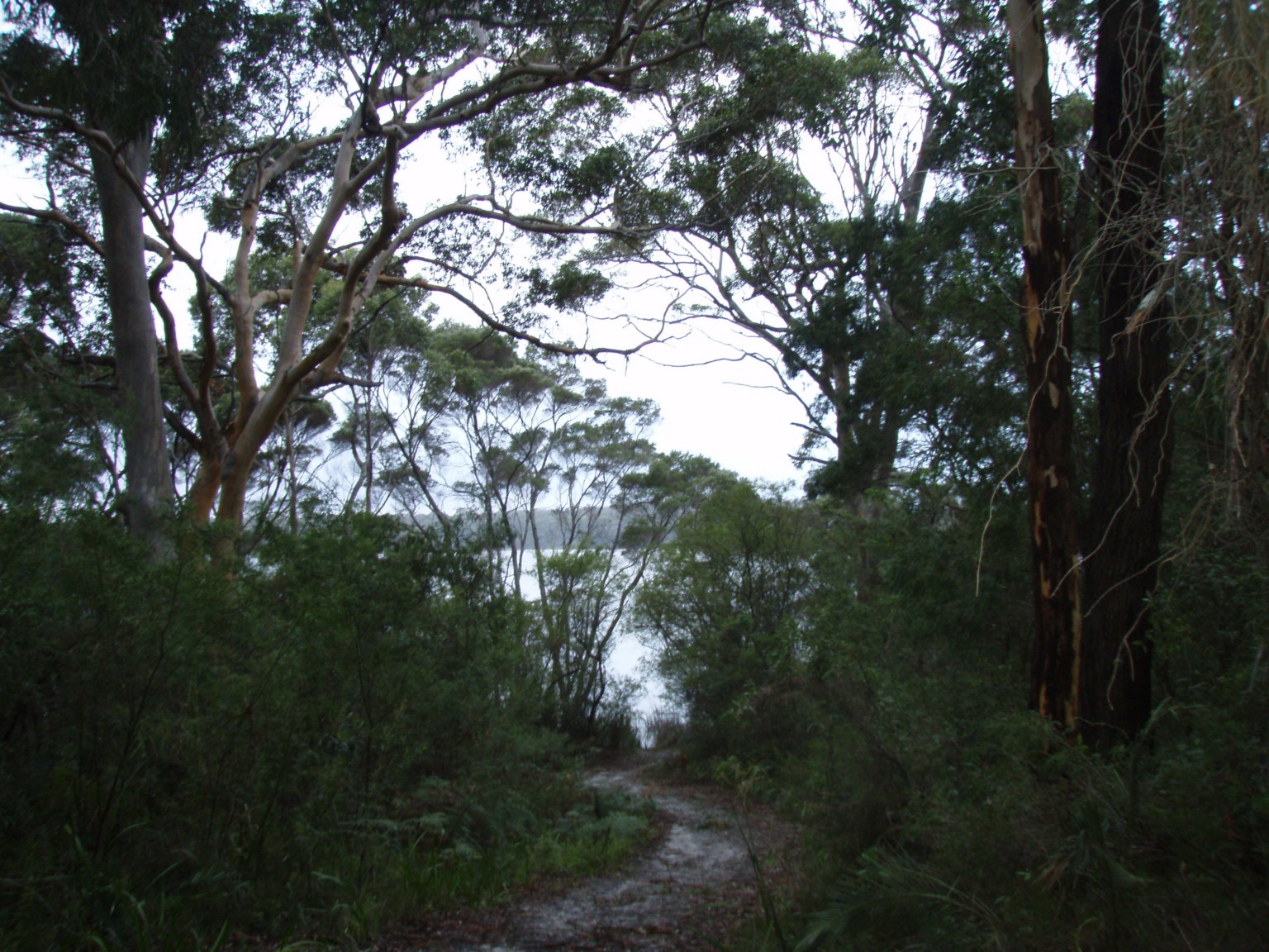 Bibbulmun track