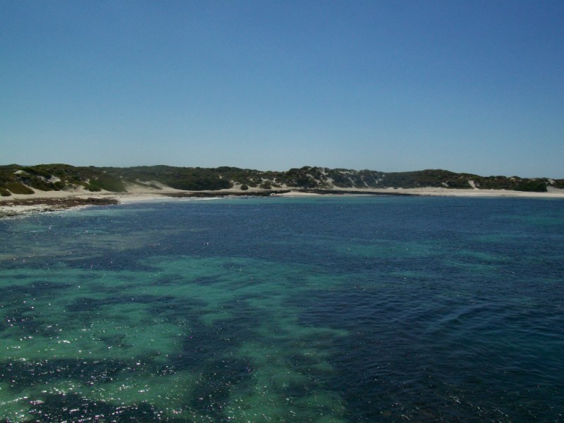 Great Snorkeling