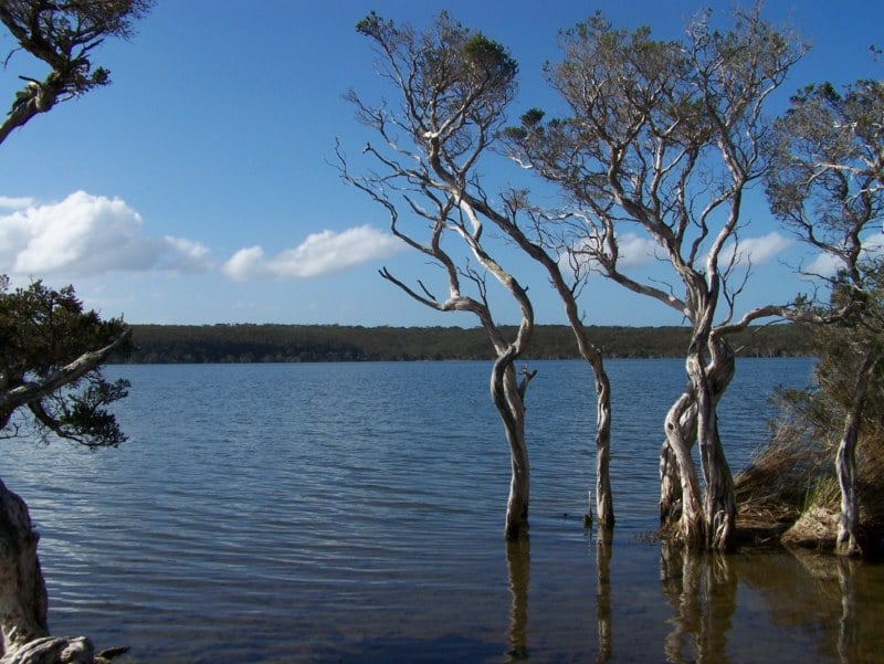 Fishing in an Inlet