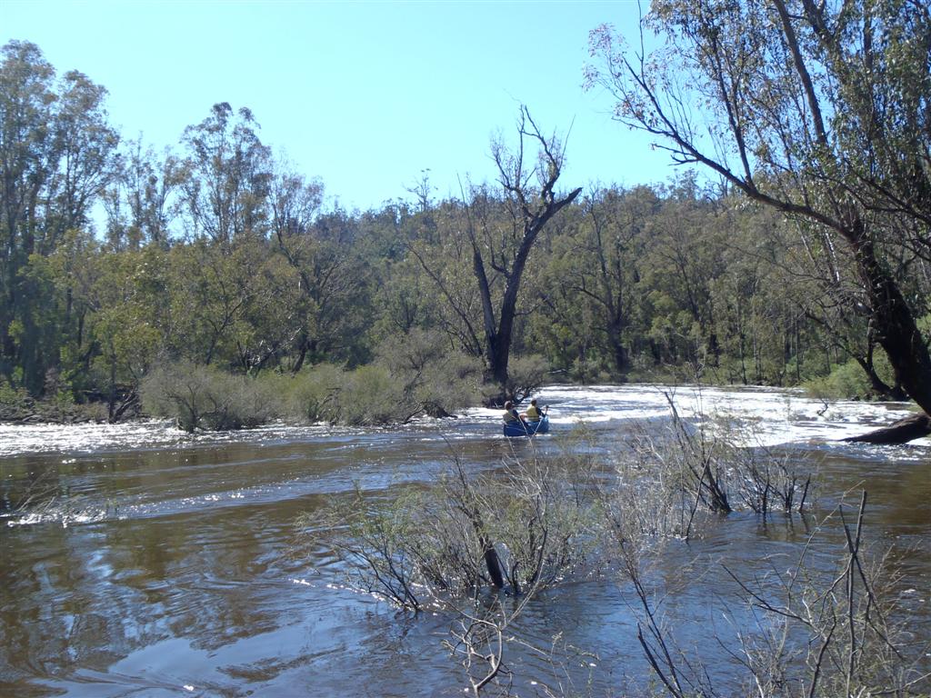 Canoeing Down Rapids at Dwellingup