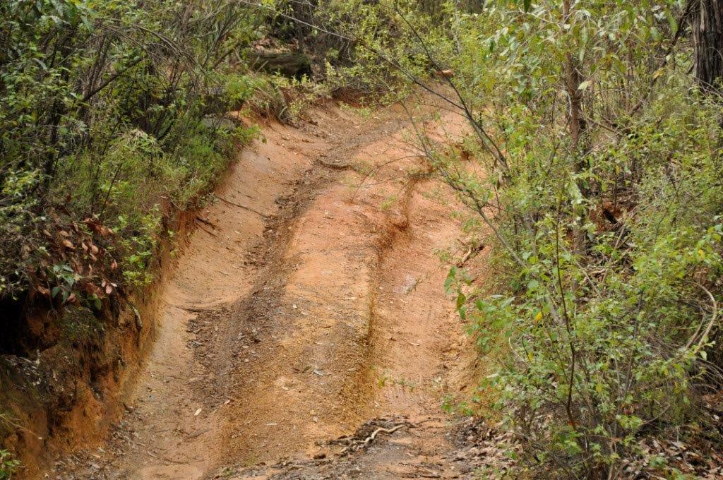 4x4 Tracks at Dwellingup