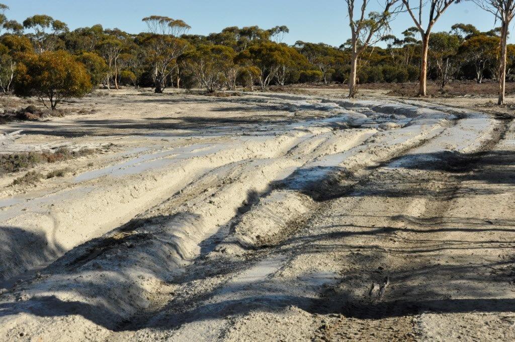Clay Mud Tracks