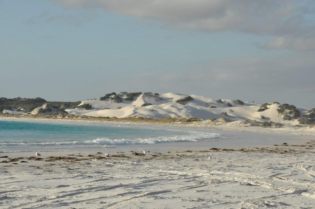 Dunes at Orleans