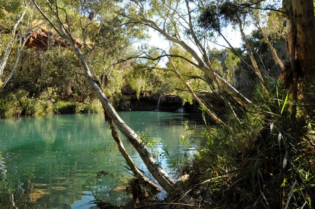 Fern Pool, Karijini