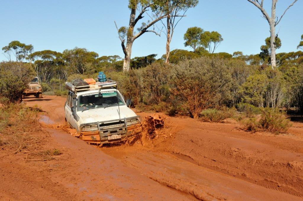 Muddy Track