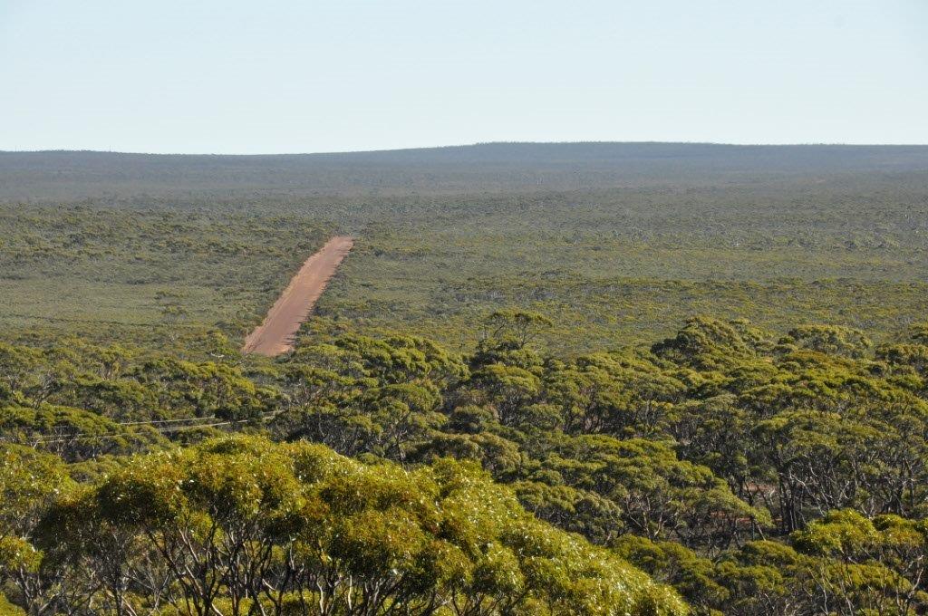 On Mt Holland