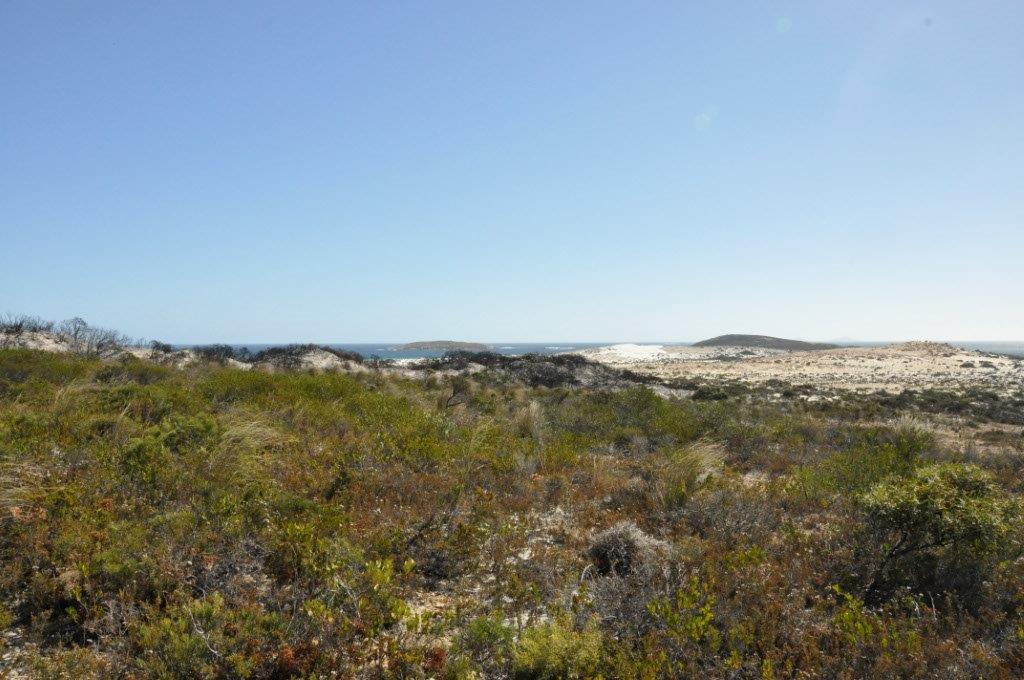 The View from Cape Arid