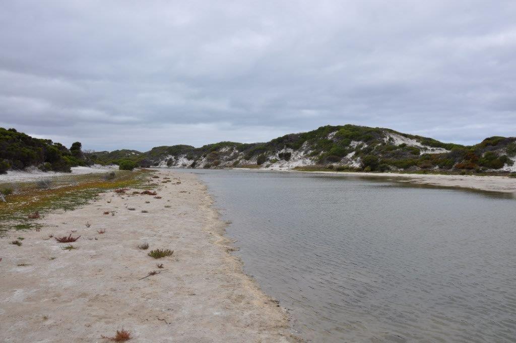 Thomas River Itself