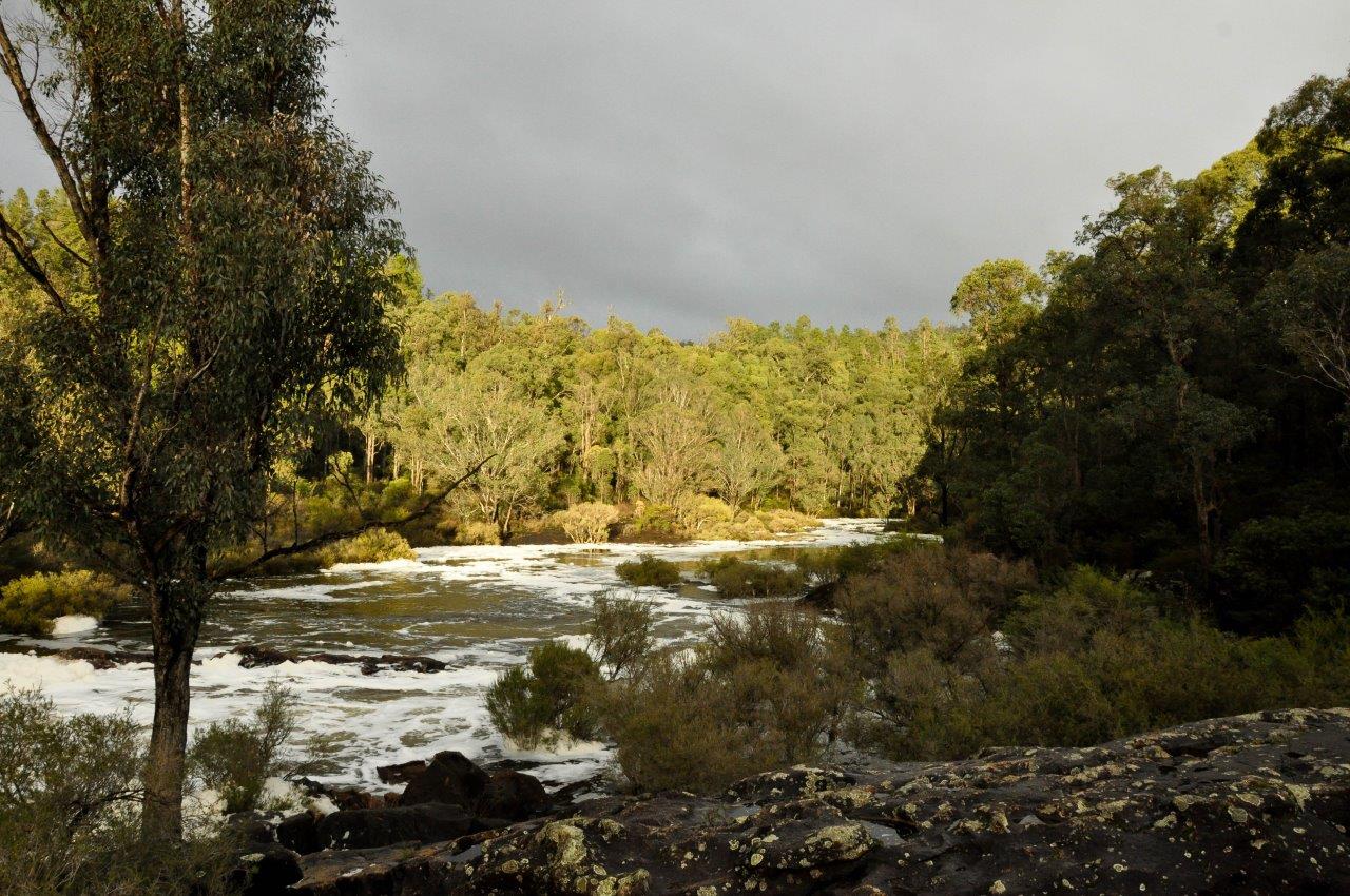 Dwellingup Rapids and Foam