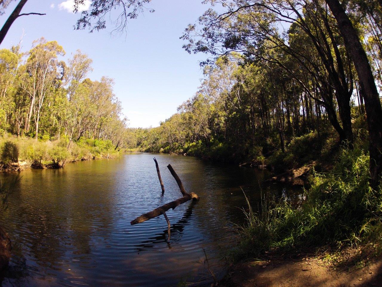 Enjoying Dwellingup