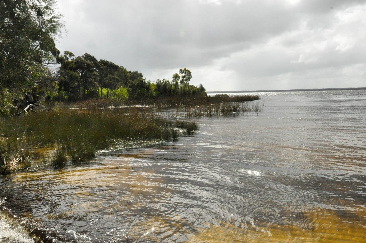 Lake Jasper from the Shore