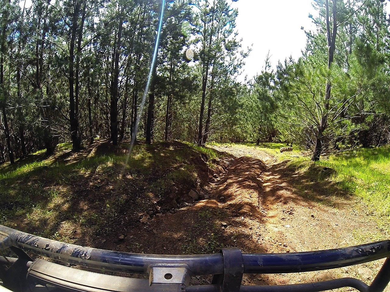 Lots of Ruts