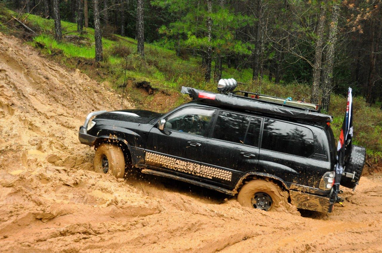 Sloppy Mud at Harvey