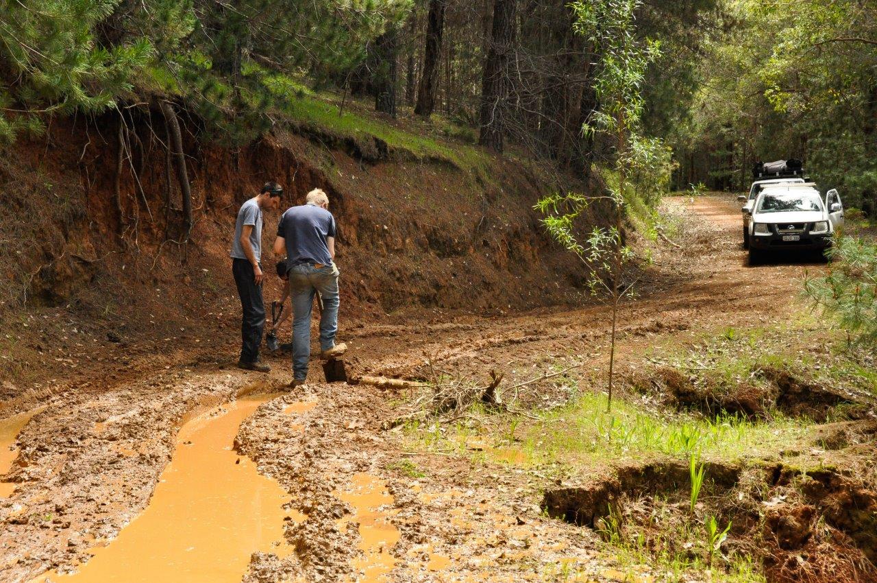 Track Work Near Nannup