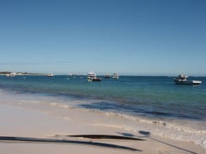 Cray Boats at Lancelin Lots of Rock Lobster Boats