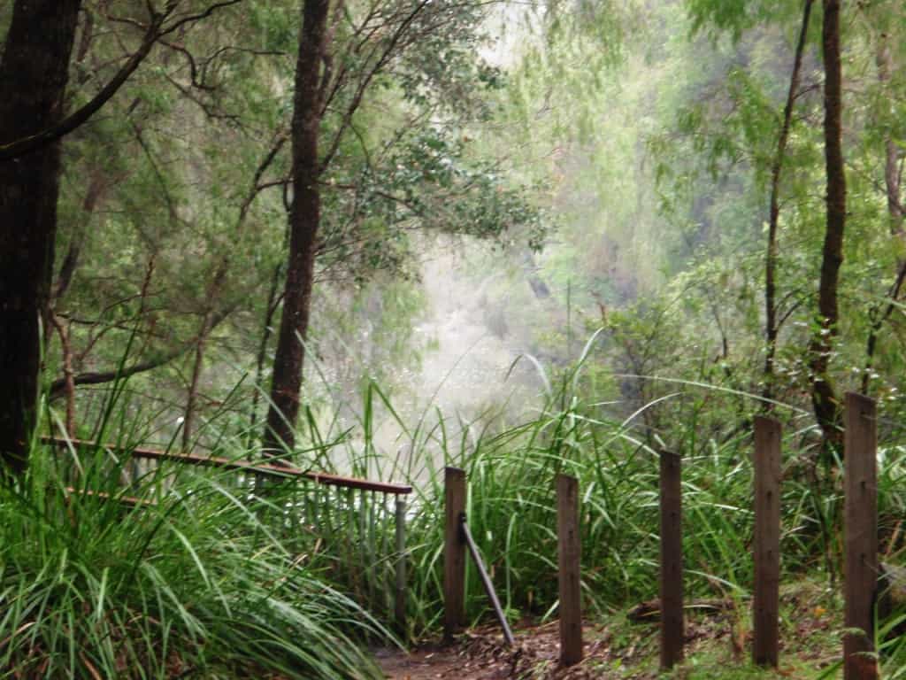 Collie River at Honeymoon Pool A misty morning at Honeymoon Pool