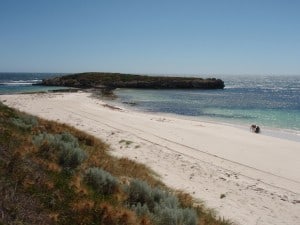 Great diving at Sandy Cape Flat water for snorkeling