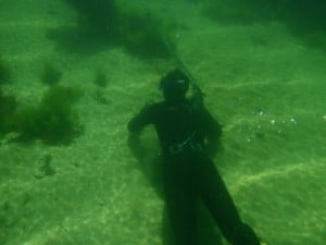 Spearfishing at Point Peron Spear fishing at Point Peron