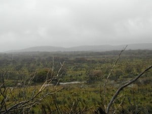 Rainy day at Peaceful bay Raining at Peaceful Bay