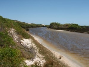 You should leave nothing but footprints at a campsite Leave the environment in a natural state