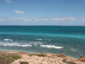 Coral Bay Fishing down south Spectacular clear water