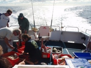 Some fish caught at Coral Bay on the fishing charter A few of the fish caught in icey water