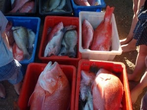 Coral Bay has some great fishing This is why! The best fishing for miles
