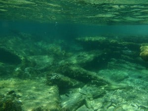 Diving at Lucky Bay Snorkelling on the reef