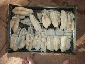 Smoked fish from spearfishing Smoking some fish from a few hours work.