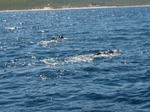 Freediving without tanks Spearfishing without tanks