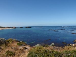 Spearfishing in area's with a lot of Reef Pick an area with a lot of Reef