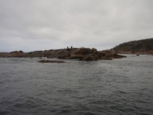 Seal Island Seal Island is well worth a look