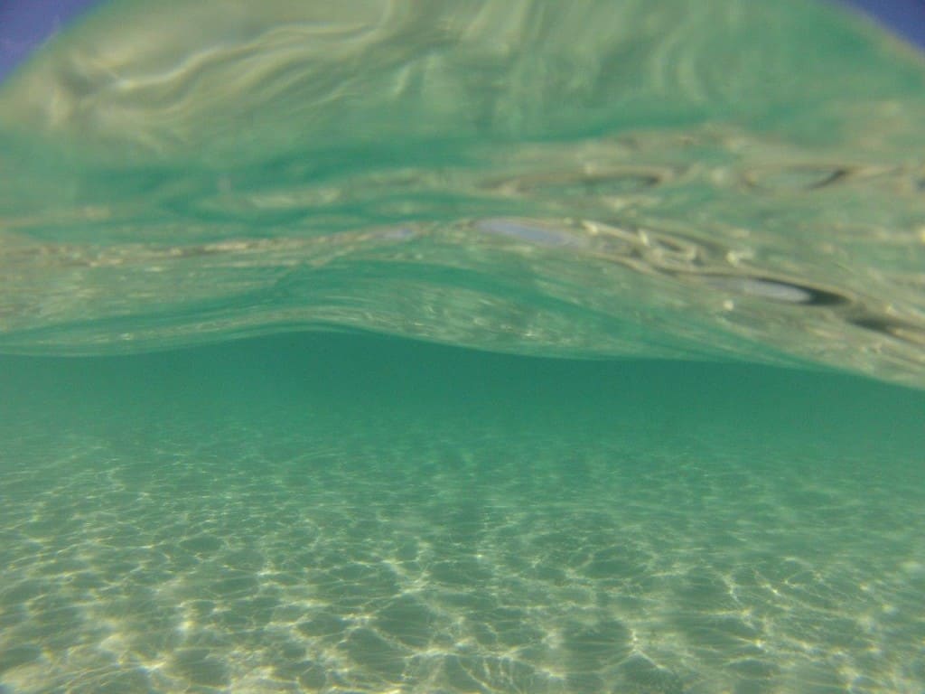 Swimming at Denmark