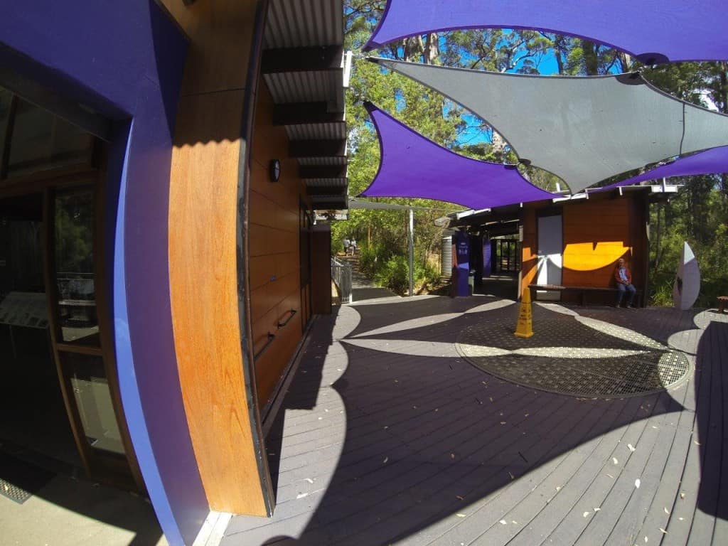 Tree Top walk entrance