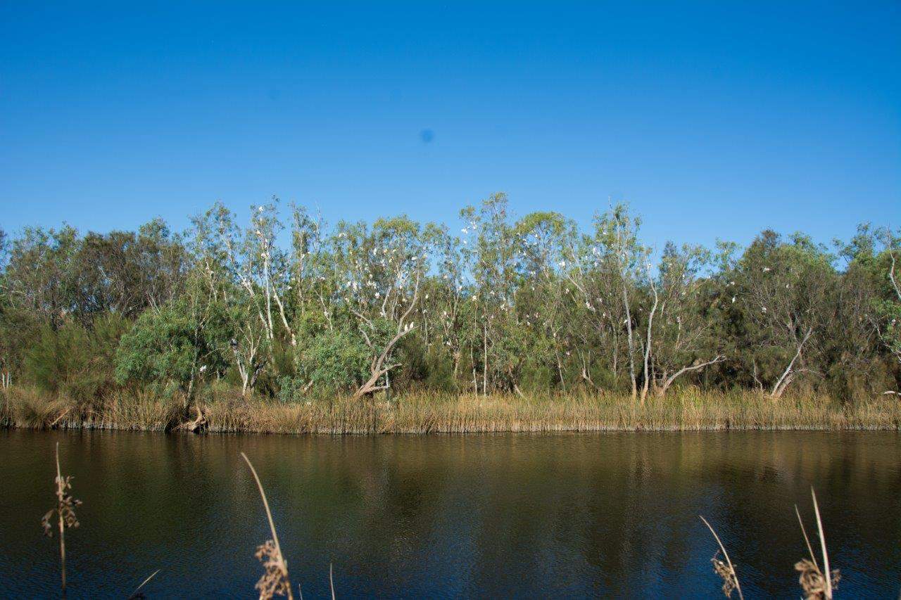 Ellendale Pool; Geraldton’s hidden oasis