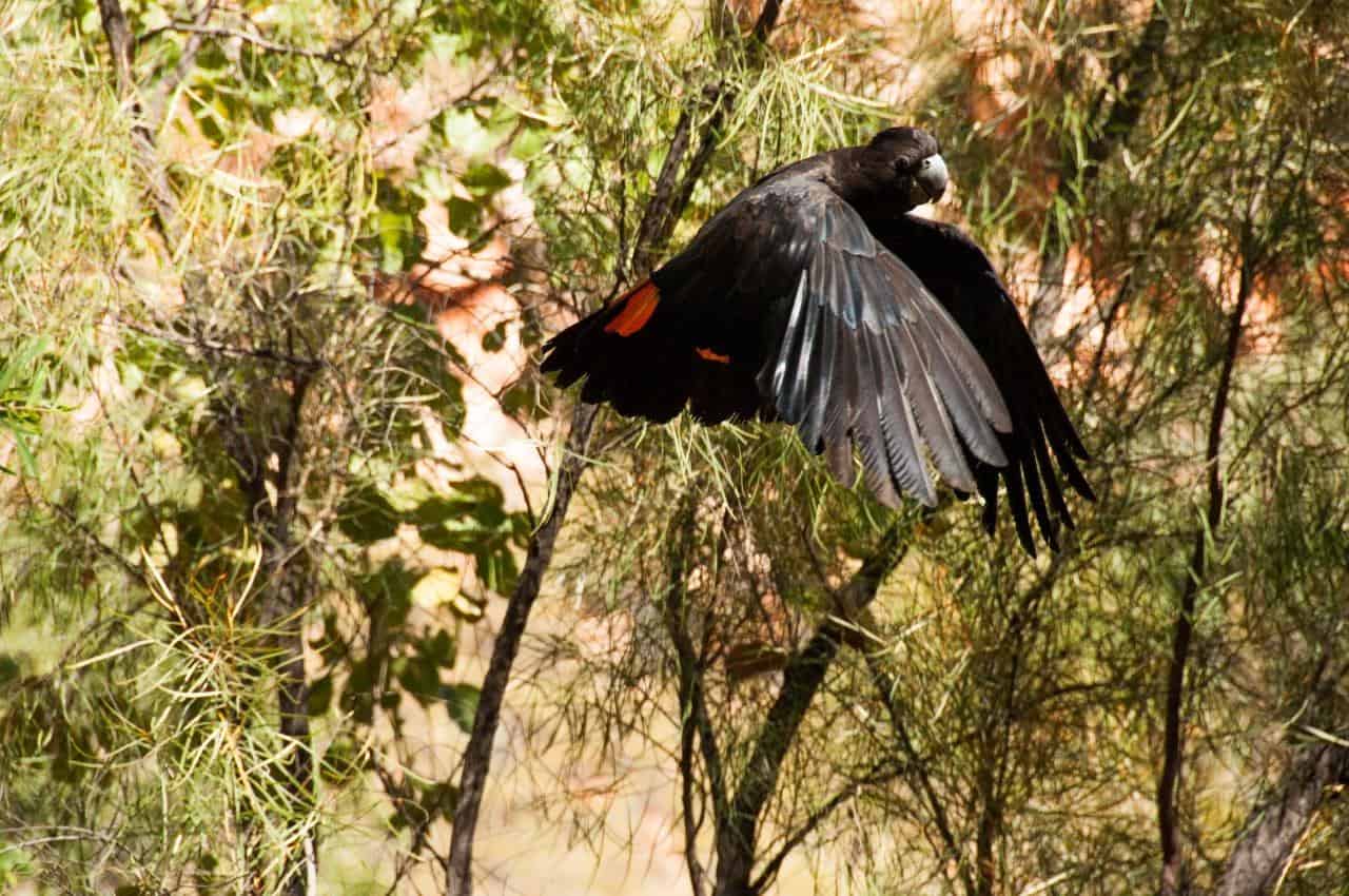 12 reasons you should visit the Kimberley