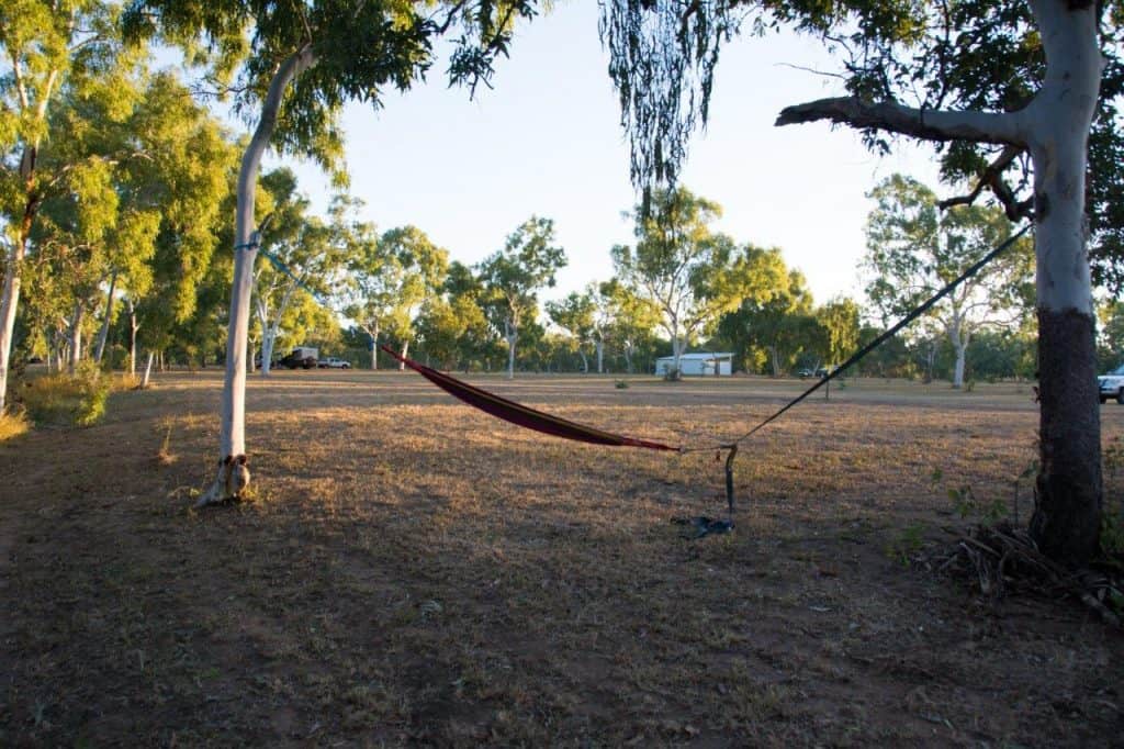 Oztrail Hammock Review; the ultimate camping companion