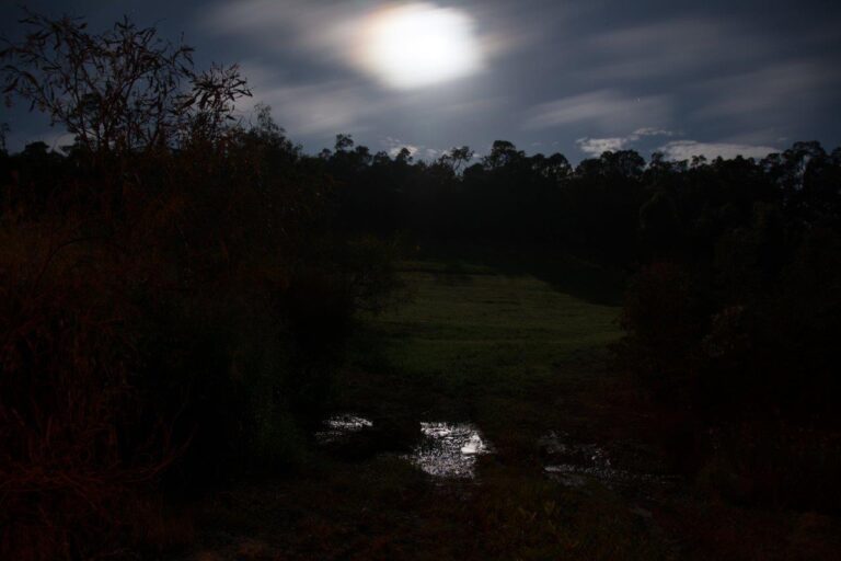 Little creek at night