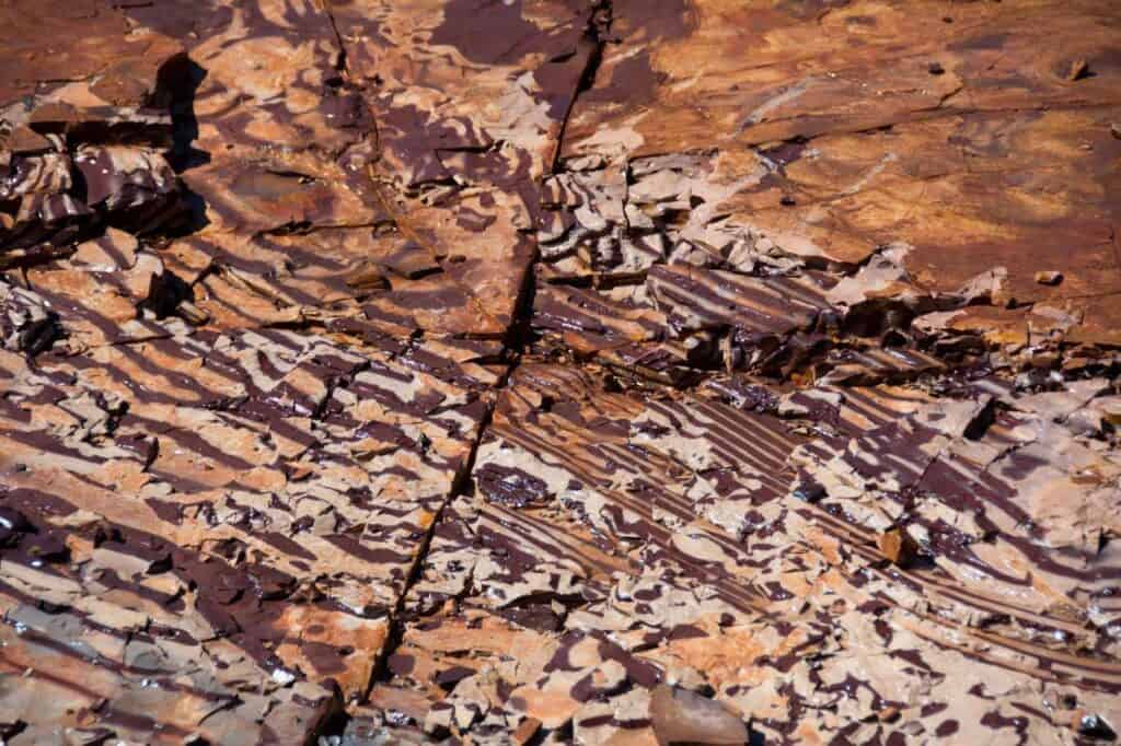 Zebra rock in the ground