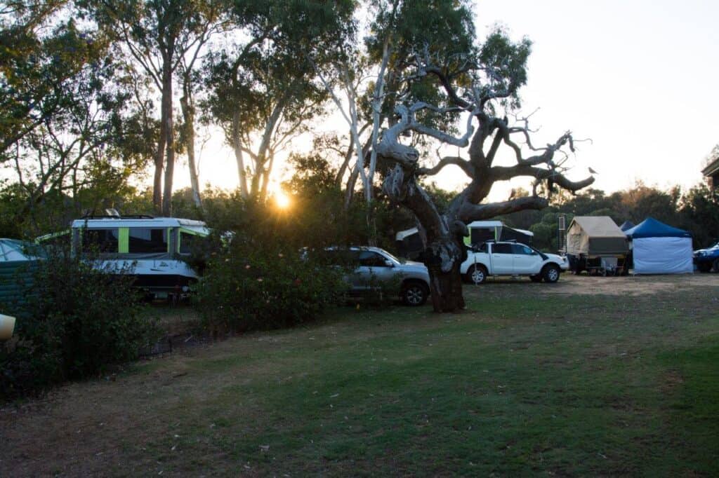 Willowbrook Farm; the ultimate campground for kids near Perth