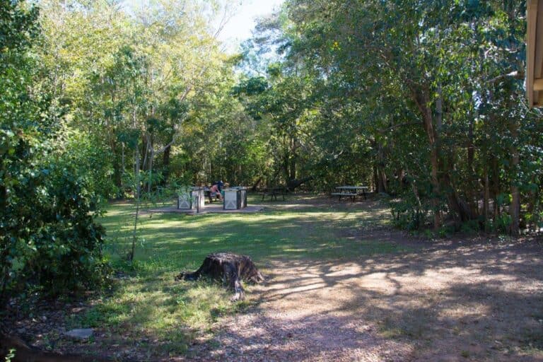 Berry Springs; the ultimate swimming hole near Darwin