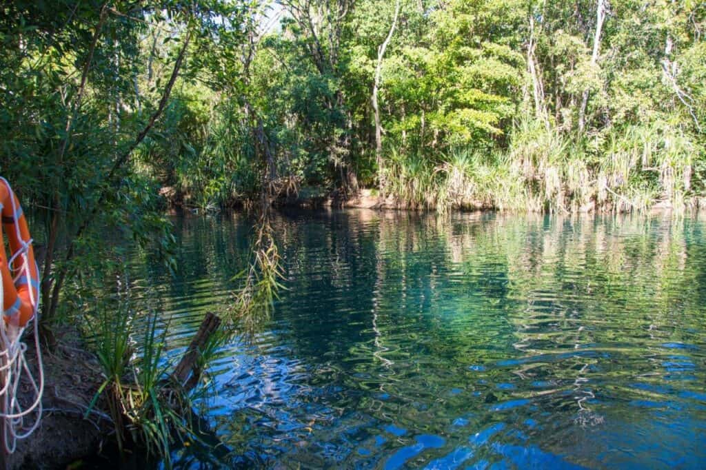 Berry Springs; the ultimate swimming hole near Darwin