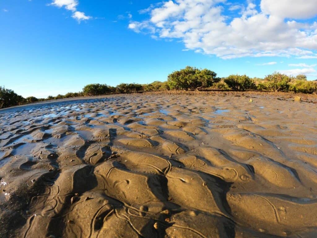 40 Mile Beach; unbelievable coastal camping