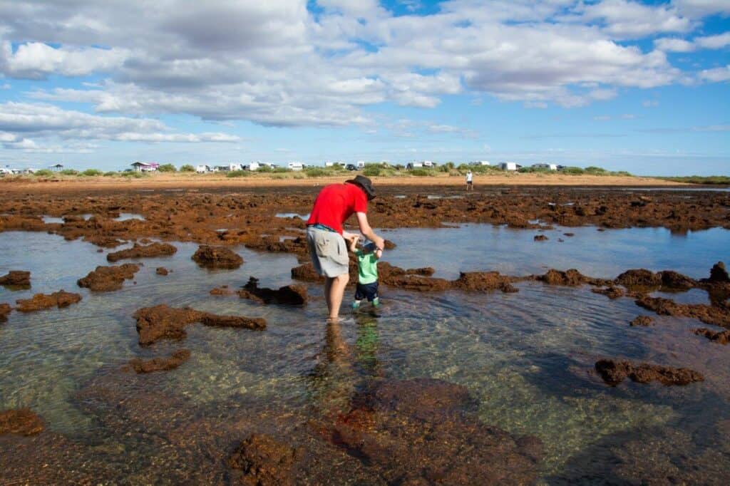 40 Mile Beach; unbelievable coastal camping