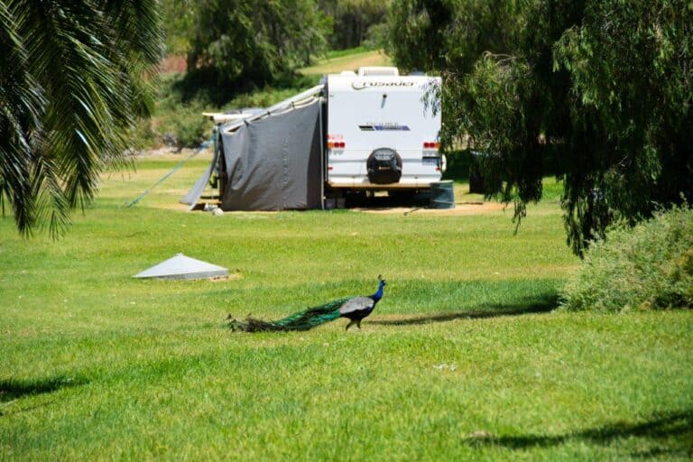 Lake Preston Lime; unique camping between Myalup and Preston