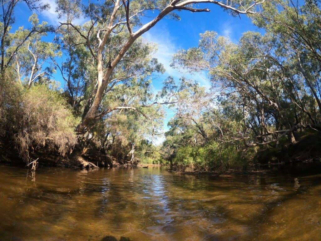 Moore River Ranch; great camping 1.5 hours from Perth