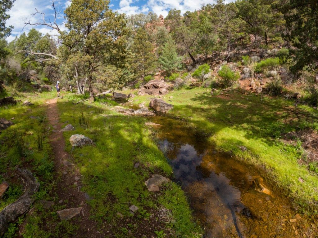 Argadells; the ultimate Flinders Ranges visit