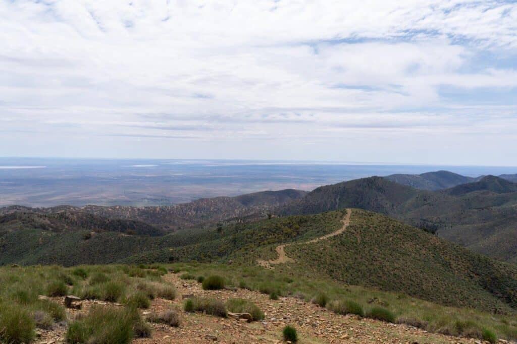Argadells; the ultimate Flinders Ranges visit