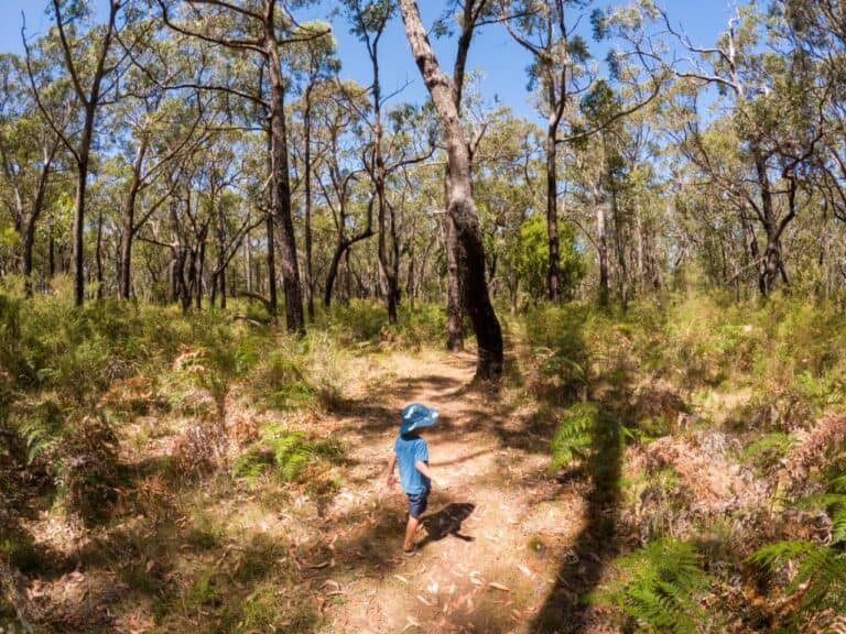 Sawpit Free Campground; Great camping near Portland